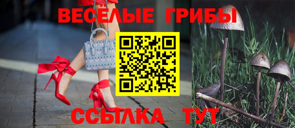 Ялта  Псилоцибиновые грибы Cubensis  Вход с VPN  Псилоцибиновые грибы ЛСД 